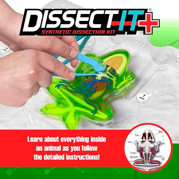 Dissect-It Kit for Kids 6 Plus, Simulated Synthetic Lab Dissection Toy | Frog Super Lab | Authenticated STEM Toys | Kids Learn Animal Science, Biology, and Anatomy