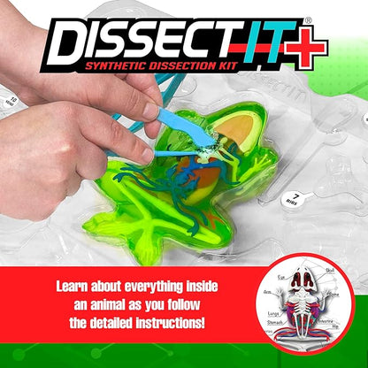 Dissect-It Kit for Kids 6 Plus, Simulated Synthetic Lab Dissection Toy | Frog Super Lab | Authenticated STEM Toys | Kids Learn Animal Science, Biology, and Anatomy