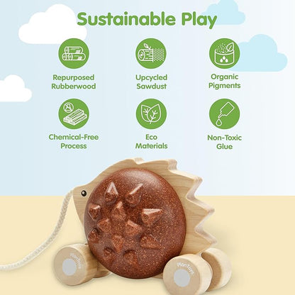 PlanToys® Wooden Pull Along Hedgehog | Montessori Pull Toy for Toddlers | Walking Toy with Sound, Early Learning, Balance & Coordination | Eco Friendly Wooden Toy