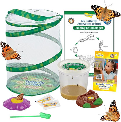 Insect Lore Butterfly Garden | Original 12" Habitat and Cup of Live Baby Caterpillars | Life Science & STEM Education Kit