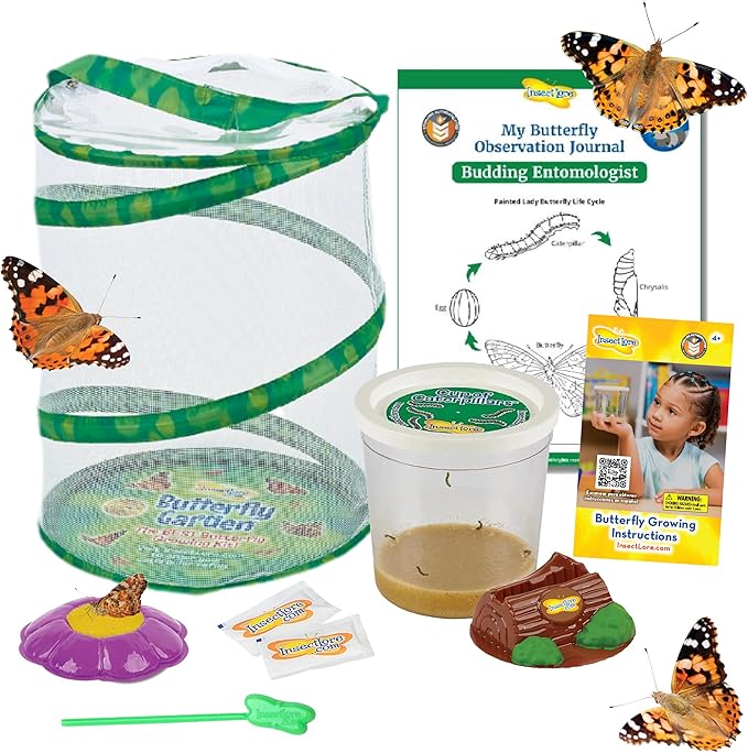 Insect Lore Butterfly Garden | Butterfly Kit with Live Caterpillars | 5 Caterpillars, Reusable Habitat, STEM Butterfly Journal & More