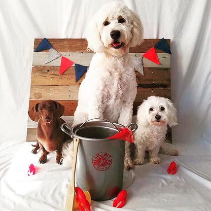 Lil' Bit Boiling Co. Kids Louisiana Crawfish & Fixins Toy Food Kitchen Set for Children - Toy Crawfish Set with Potatoes, Corn, and Mesh Bag
