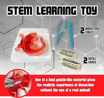 Dissect-It Kit for Kids 6 Plus, Simulated Synthetic Lab Dissection Toy | Salamander | Authenticated STEM Toys | Kids Learn Animal Science, Biology, and Anatomy