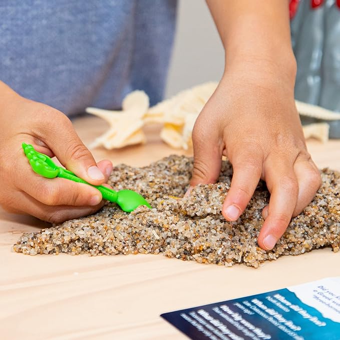 Educational Insights GeoSafari Jr. Dino Discovery Dig Triceratops Fossil Kit, Science Toy, Giftr for Boys & Girls, Ages 4+