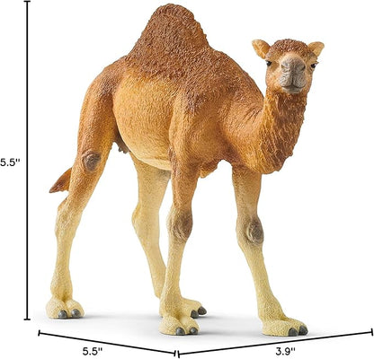 Schleich Wild Life Realistic Dromedary Camel Figurine - Authentic and Highly Detailed Wild Animal Toy, Durable for Education and Fun Play, Perfect for Boys and Girls, Ages 3+, Multicolor, 3.9 inch