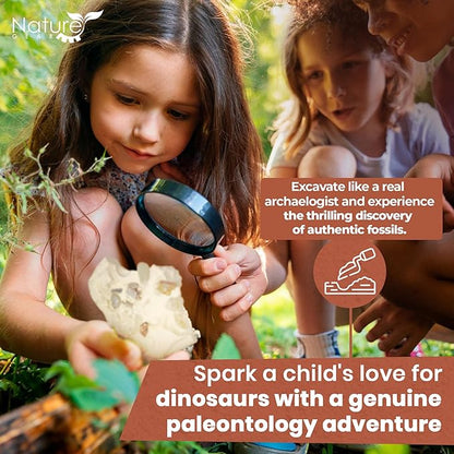 Nature Gear Dino Fossil Dig Kit for Kids, Educational Excavation Kit with 15 Glow in The Dark Mystery Fossils, Interactive Dinosaur Science Kits for Kids Age 3-5 and Up, Excavation Adventure Kit