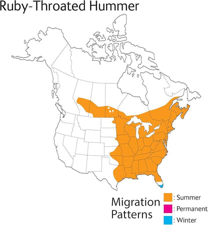 Wild Republic Audubon Birds Ruby-Throated Hummingbird with Authentic Bird Sound, Stuffed Animal, Bird Toys for Kids & Birders