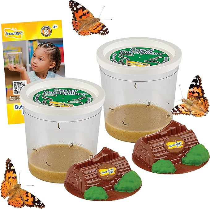 Insect Lore Two Cups of Live Caterpillars | Painted Lady Butterflies | Includes 2 Chrysalis Holding Logs | 10 Live Baby Caterpillars | Refill for Habitats and Kits