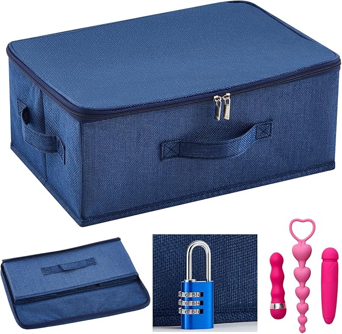Briwooody Discreet Lockable Toy Bag Storage Organizer Toy Bag Storage Bins Case with Zipper Lid for Women and Men Clothes Container(Dark Blue,15 x 10 x 6.3 Inch)