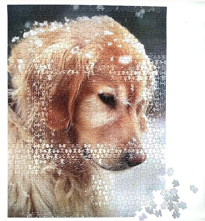 Jigsaw Puzzles 1000 Pieces for Adults 1000 Piece Puzzles for Adults and Kids (Cute Pet Dog)