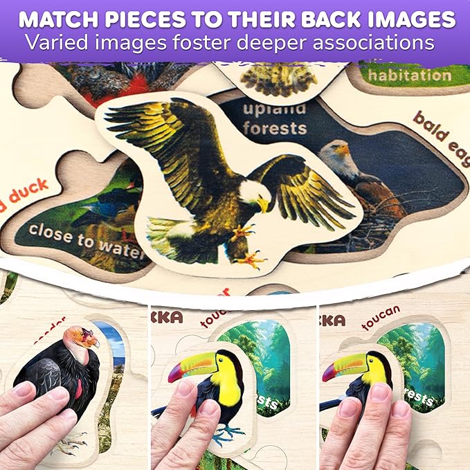 QUOKKA Wooden Puzzles for Toddlers – 3xSET Toddler Puzzles AES – Montessori Insects Toy Puzzles for Toddlers – Wood Toy Learning Realistic Insects, Arctic Animals, Birds for Boy and Girl