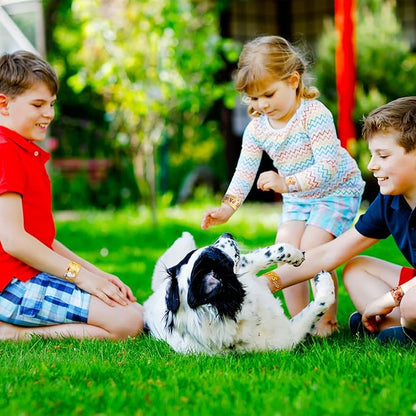 40 Pieces Puppy Party Supplies Dog Cat Slap Bracelets Sweet Cats You Are Paw Some Bracelets for Kids Pet Party Decorations Paw Print Snap Wristbands for Pet Theme Party Birthday Dog Party Favors (Dog)