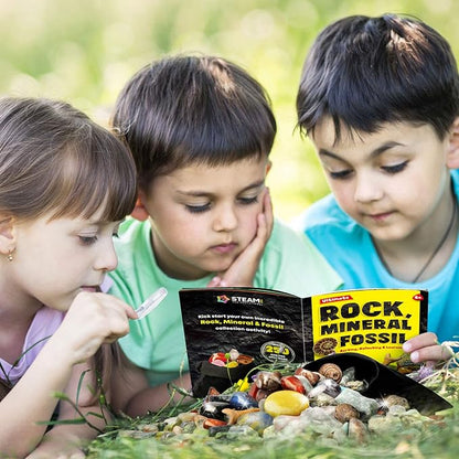 Rocks Minerals & Fossils Collection for Kids 250+ Real Gemstones and Crystals Rock Identification Kit includes Display Case, Genuine Fossils, Geodes Great Geology, Science Gift for Boys & Girls