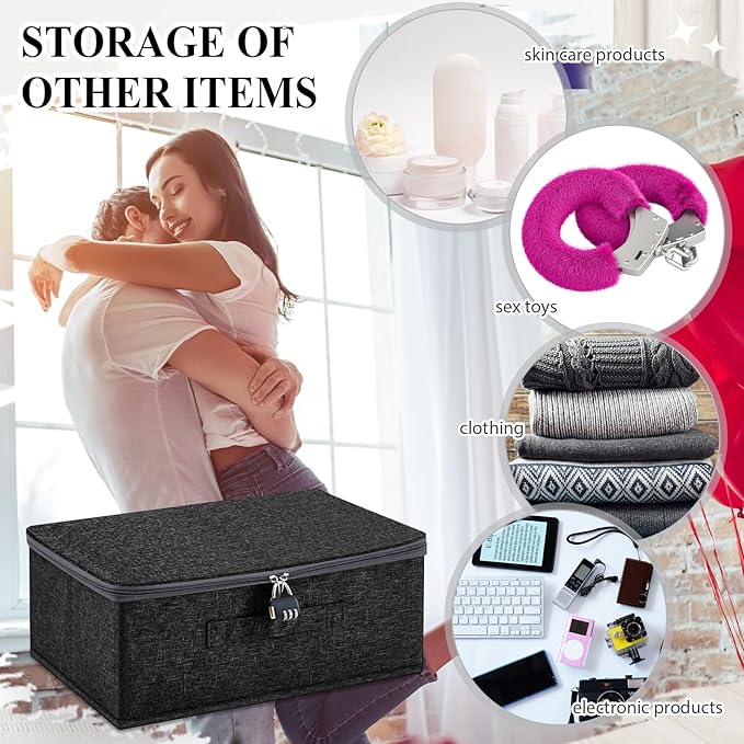 Briwooody Discreet Lockable Toy Bag Storage Organizer Toy Bag Storage Bins Case with Zipper Lid for Women and Men Clothes Container(Black,15 x 10 x 6.3 Inch)