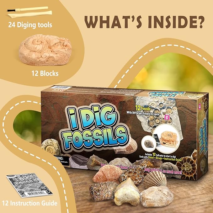 Byncceh Fossil Dig Kit - Educational STEM Science Toys for Kids Ages 6+ - Dig Up 12 Fossils Real & Dinosaur Bones Rocks - Digging Activities Kits - Paleontology, Discovery Gifts for Boys & Girls
