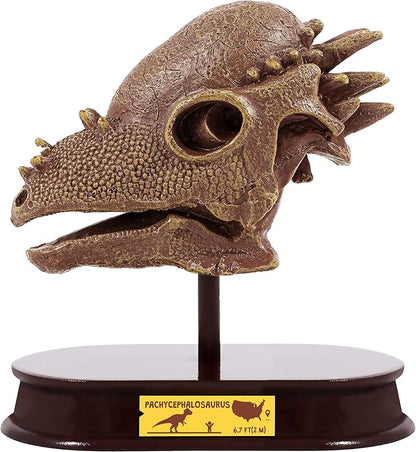 ArtCreativity Dinosaur Excavation Kit for Kids, 5.5” Pachycephalosaurs Skull Excavating Set with Fossil Digging Tools and Stand, Fun Science Activity Toy, Educational Dinosaur Gift for Boys and Girls