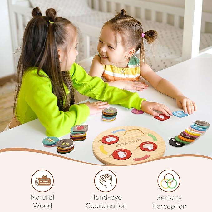 Life Cycle Toys for Kids, 12 Themes Montessori Preschool Science Center Materials, Wooden Learning & Educational Toys for Toddlers, Learning Game Travel Toy Birthday for Boys Girls Age 3-6
