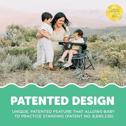 Baby Delight Go with Me Venture Portable Chair | Indoor and Outdoor | Sun Canopy | 3 Child Growth Stages | Grey