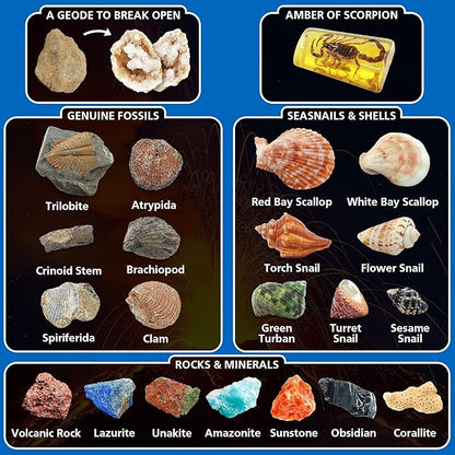 Volcano & Ocean Fossil Dig Kit, Dig up 20+ Real Fossils, Rocks, Shells & Sea Snails with Eruption Experiments, Earth Science Geology Kit for Kids, STEM Toy Gift for Boys & Girls Age 6-8-12
