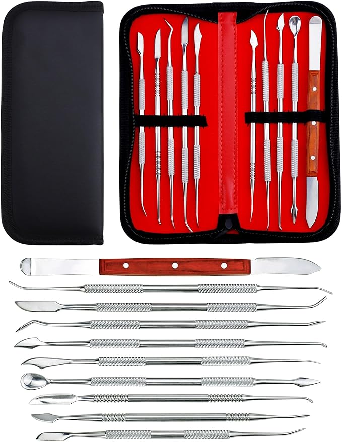 YETOOME 10 Pcs Dental Wax Carving Tools Set with Case, Stainless Steel Clay Sculpting Pottery Sculpture Tools for Dental Pottery Sculpting Plaster Carving