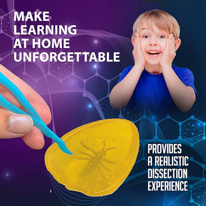 Top Secret Toys Discover-It Dissection Kit for Kids, Synthetic Amber Science Lab Kit to Learn About Insects, Science Toys for Kids Ages 5 and Above
