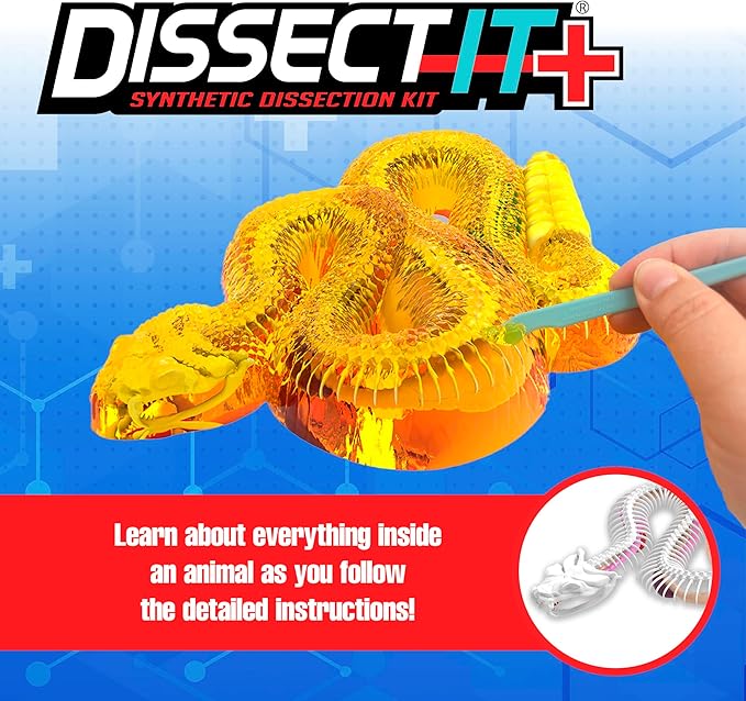 Top Secret Toys Rattlesnake Super Lab Dissect It Kit for Kids, Synthetic Dissection Kids Science Kit to Learn Biology, STEM Toys for 6 Year Old and Up