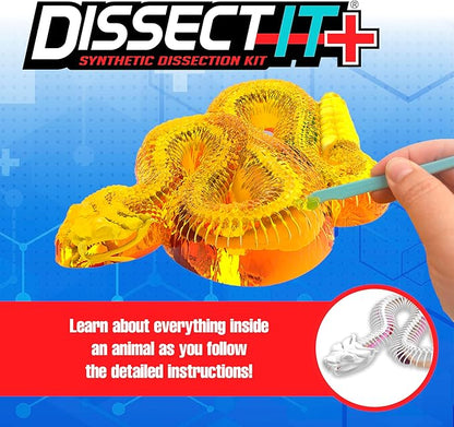 Top Secret Toys Rattlesnake Super Lab Dissect It Kit for Kids, Synthetic Dissection Kids Science Kit to Learn Biology, STEM Toys for 6 Year Old and Up