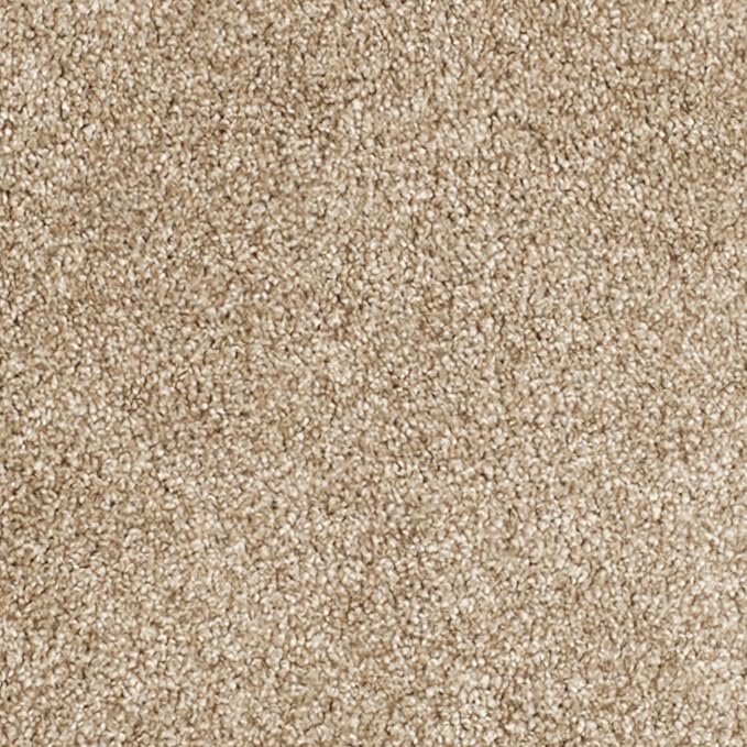 SAFAVIEH Florida Shag Collection Area Rug - 4' Round, Beige & Beige, Border Design, Non-Shedding & Easy Care, 1.2-inch Thick Ideal for High Traffic Areas in Living Room, Bedroom (SG454-1313)