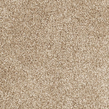 SAFAVIEH Florida Shag Collection Area Rug - 4' Round, Beige & Beige, Border Design, Non-Shedding & Easy Care, 1.2-inch Thick Ideal for High Traffic Areas in Living Room, Bedroom (SG454-1313)