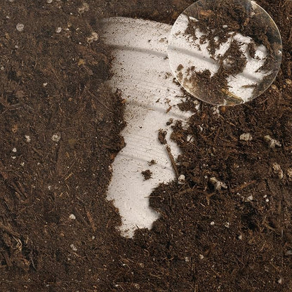 Educational Insights See-Through Compost Container, STEM Toy for Homeschool or Classroom, Ages 4+