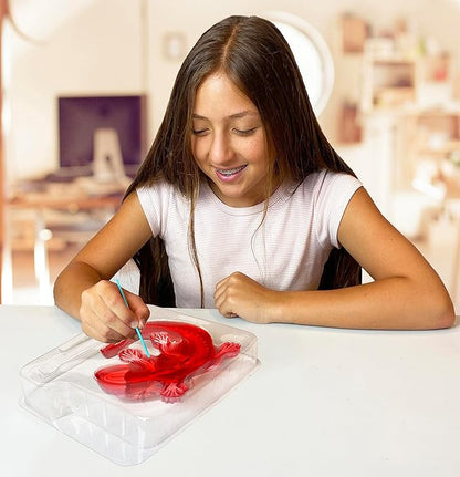 Dissect-It Kit for Kids 6 Plus, Simulated Synthetic Lab Dissection Toy | Salamander | Authenticated STEM Toys | Kids Learn Animal Science, Biology, and Anatomy