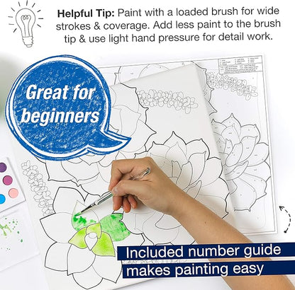Faber-Castell Watercolor Paint by Number, Succulents - Adult Paint by Number Kit on Canvas