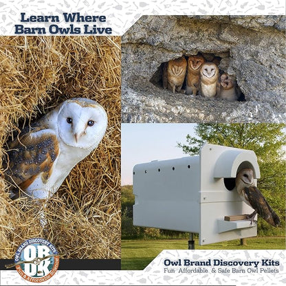 OBDK Barn Owl Pellets for Dissection - 10 Pack Medium Sized (1.5"-2.0") with Tools, Guide and Charts from Owl Brand Discovery Kits