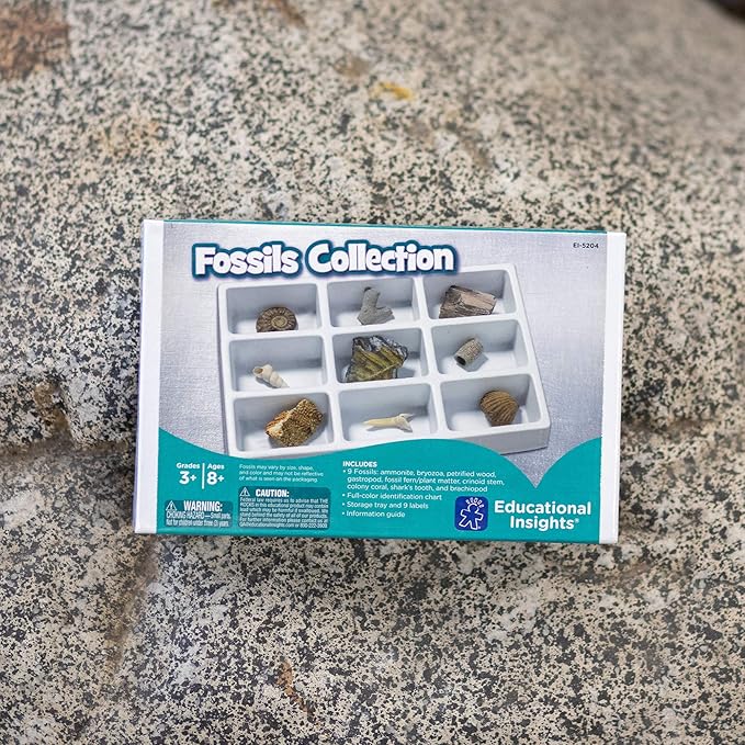 Educational Insights Fossil Collection, Ages 8 and up, (9 Pieces with Storage Tray)