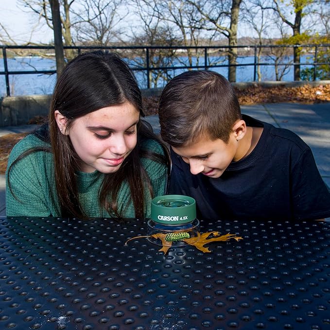 Carson Kids BugLoupe 4.5x Pre-Focused Stand Magnifier Loupe for Viewing Insects, Plants, Coins, Stamps, Maps, Fine Print and Wildlife (HU-55), Green, One Size