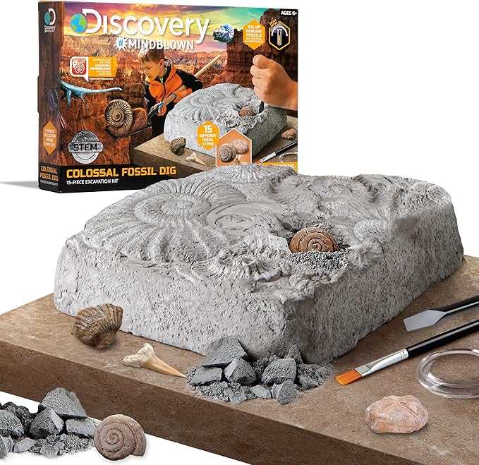 Discovery #MINDBLOWN Colossal Fossil Dig Set, 15-Piece Archeology Excavation Kit, Uncover Real Shark Teeth & More, Every Fossil Set is Unique, STEM Toys for Boys and Girls