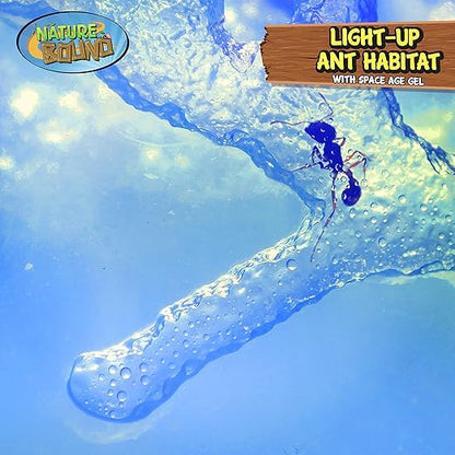 Nature Bound Light-Up Ant Habitat Terrarium Kit with Gel for Kids - LED Lights with Space Age Gel - STEM Science & Nature Toy for Boys & Girls - Watch Ants Dig and Tunnel