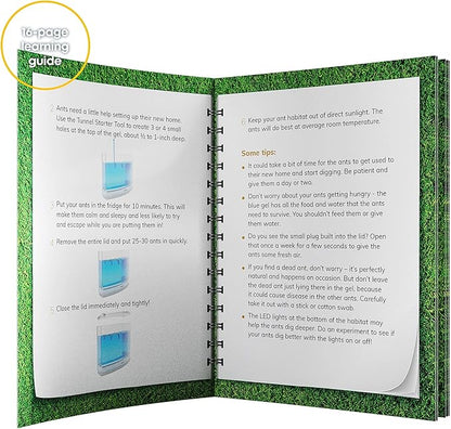 Light-up Ant Farm Terrarium Kit for Kids – LED Habitat for Live Ants with Nutrient Rich Gel - Watch Them Dig Their Own Tunnels - Nature Learning, Science Toys, Experiment Gift for Boys & Girls