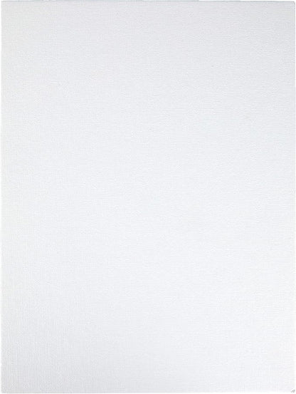 Crayola Paint Canvas Set, Painting Supplies, White, 2 Count