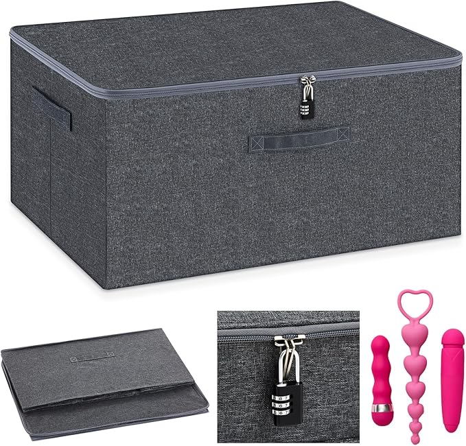 Briwooody Discreet Lockable Toy Bag Storage Organizer Toy Bag Storage Bins Case with Zipper Lid for Women and Men Clothes Container(Gray,19.3 x 14.6 x 11.8 Inch)