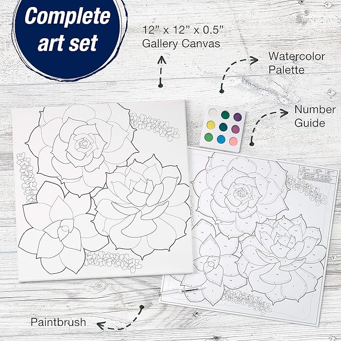 Faber-Castell Watercolor Paint by Number, Succulents - Adult Paint by Number Kit on Canvas