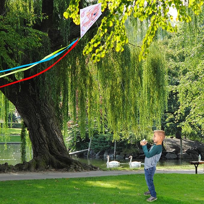 Hapinest DIY Color and Make Your Own Kite Kit for Kids | Easy to Fly Kites Outdoor Toys and Activities for Boys and Girls Ages 4 5 6 7 8 9 10 11 12 Years Old and Up