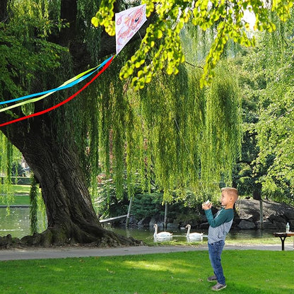 Hapinest DIY Color and Make Your Own Kite Kit for Kids | Easy to Fly Kites Outdoor Toys and Activities for Boys and Girls Ages 4 5 6 7 8 9 10 11 12 Years Old and Up