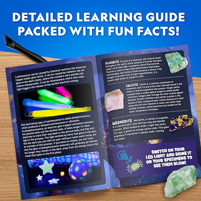 National Geographic Glow in The Dark Dig Kit - Excavate 6 Glow in The Dark Rocks & Dinosaurs from a Glowing Brick, Rock Collection, Science Kits for Kids, Rock Kit for Kids, STEM Kits, Dinosaur Toys