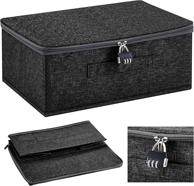 Briwooody Discreet Lockable Toy Bag Storage Organizer Toy Bag Storage Bins Case with Zipper Lid for Women and Men Clothes Container(Black,15 x 10 x 6.3 Inch)