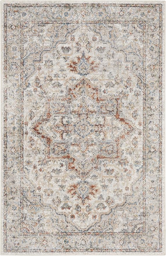 Nourison Astra Machine Washable Traditional Grey/Multi 3'3" x 5' Area Rug, Easy Cleaning, Non Shedding, Bed Room, Living Room, Dining Room, Kitchen (3x5)