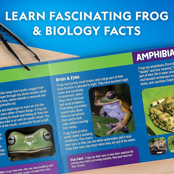 NATIONAL GEOGRAPHIC Frog Dissection Kit Anatomy Lab - Glow in the Dark Synthetic Frog Dissecting Science Lab for Kids with Dissecting Tools, Glowing Bones & Realistic Organs, Science Toys, Biology Kit