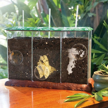 Educational Insights See-Through Compost Container, STEM Toy for Homeschool or Classroom, Ages 4+