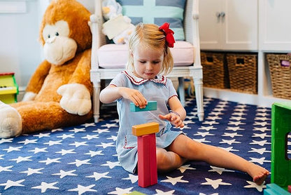 Tegu 14 Piece Magnetic Wooden Block Set in Tints