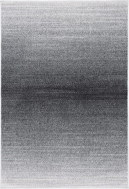 SAFAVIEH Adirondack Collection Accent Rug - 4' x 6', Grey & Dark Grey, Modern Ombre Design, Non-Shedding & Easy Care, Ideal for High Traffic Areas in Entryway, Living Room, Bedroom (ADR142H)